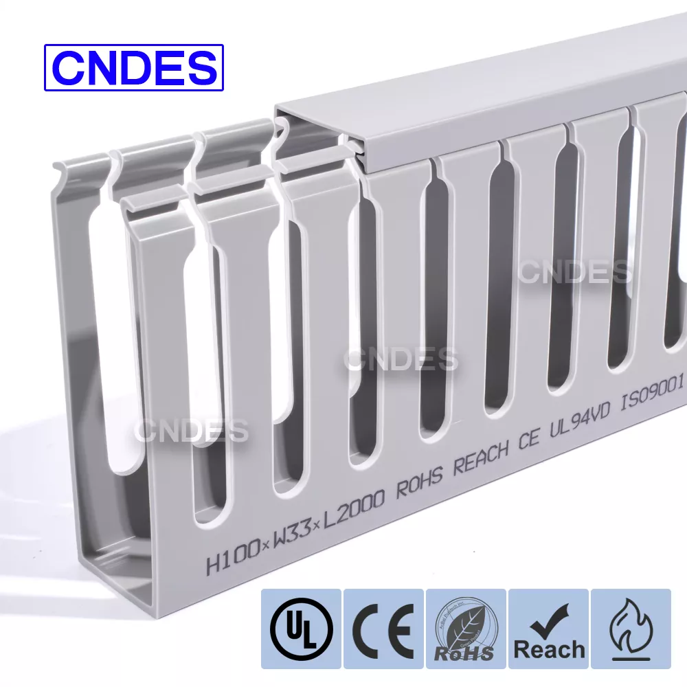 100 × 33 serverihoidiku kaablihaldus